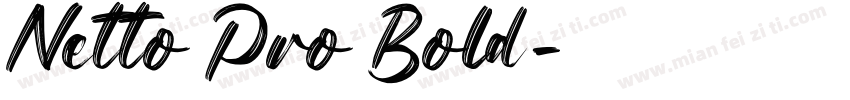 Netto Pro Bold字体转换